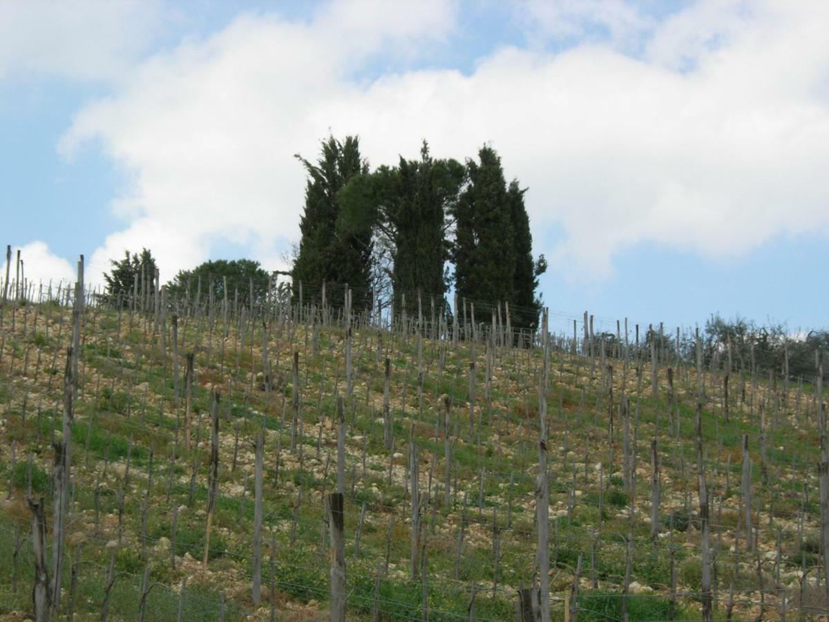 Villa Poggio Borgoni Mercatale Val Di Pesa Exterior foto